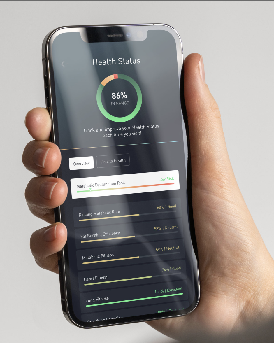 Morph dashboard